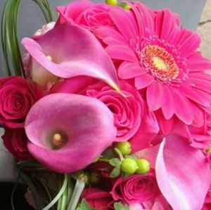 Meet your Posher, Annie